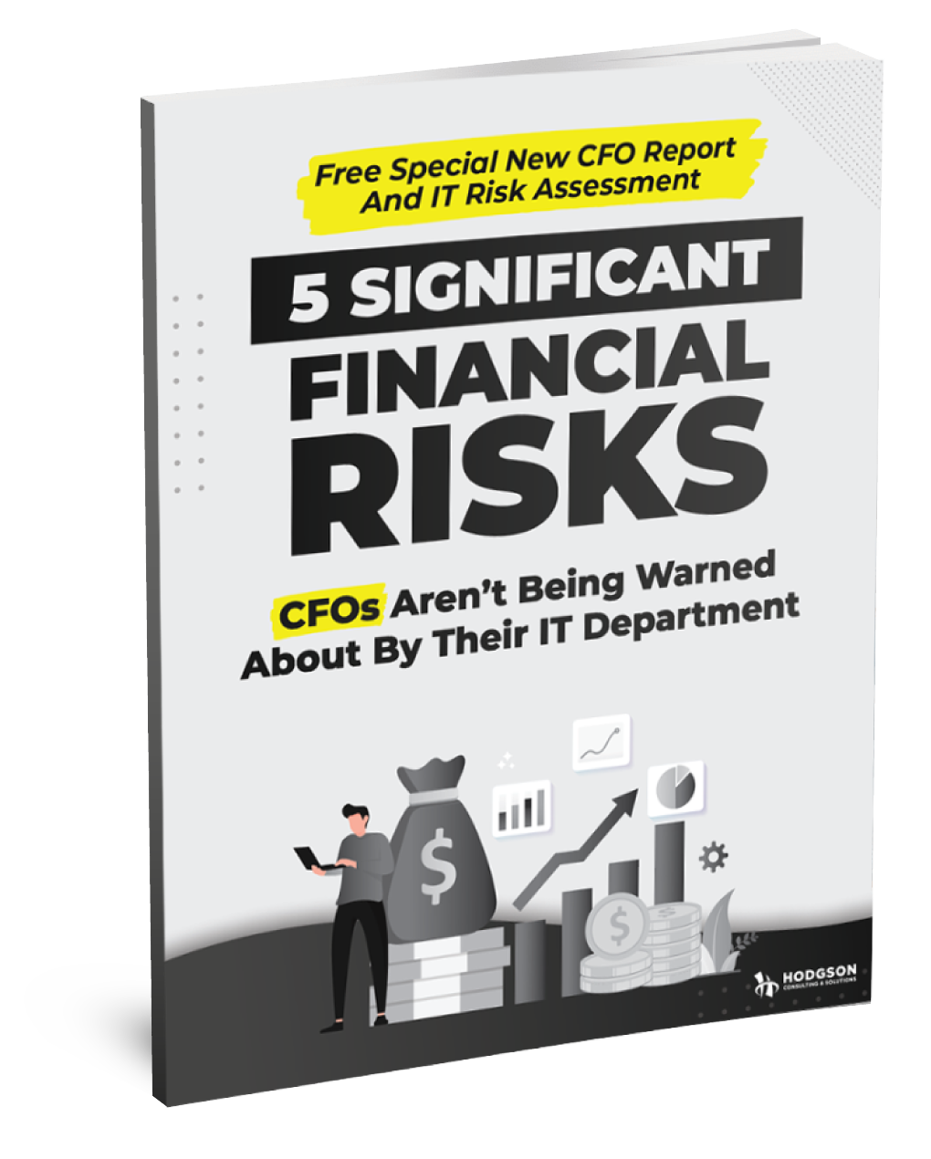 Financial Risk Hodgson Consulting & Solutions